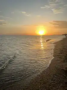 Мореман - 101