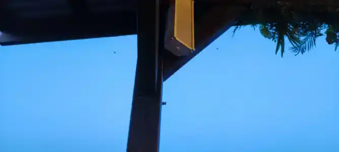 Мореман - 100