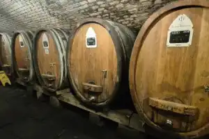 Страсбург на тарелке и в бокале - 2