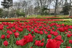 Визитные карточки Стамбула - 5