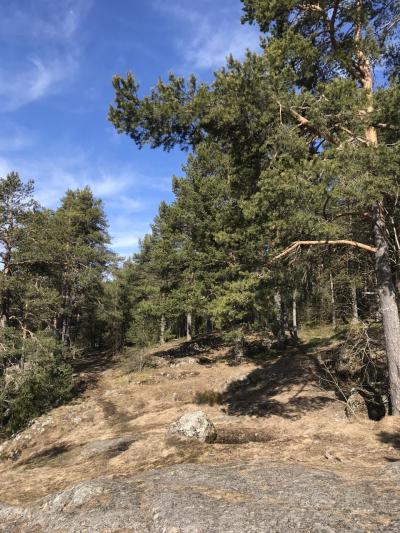 Урочище Чертов стул и финский суп - 7