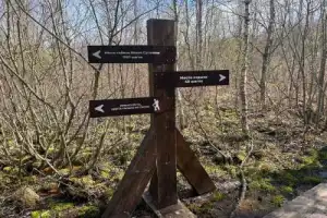 Автопутешествие из Костромы на родину Ивана Сусанина - 6