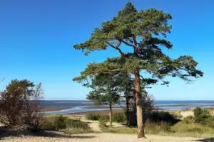 Северодвинск, подлодки и Белое море Северодвинск, подлодки и Белое море