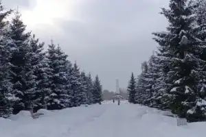 Для своих — просто Кёниг - 23