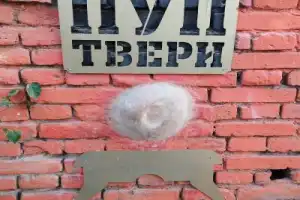 Легенды Твери — от блогера-краеведа - 11