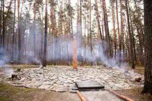 Из Кемерово — в «Томскую Писаницу» + экспресс-обзорная по городу - 10