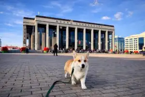 Добро пожаловать в Минск! - 6