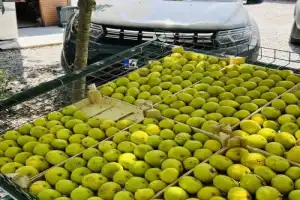 В Акьяку — из Мармариса - 10