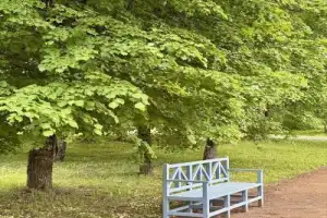 Усадьба Глинки — Новоспасское - 16
