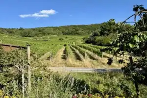 Романтика и вечная красота долины реки Ар