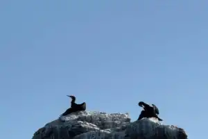 Териберка: навстречу китам и ветру - 9