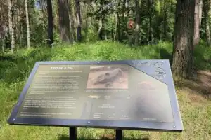 Из Смоленска — в музей-заповедник Гнёздово (на вашем автомобиле) - 10