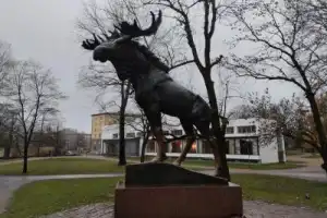 Семейный квест по НЕсредневековому Выборгу - 12