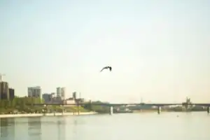 Прогулочный рейс в Перми на теплоходе «Ягошиха» (по будням) - 6