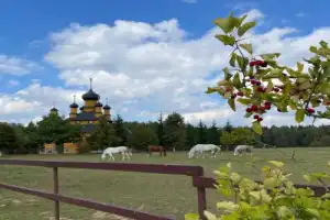 Трансфер из Минска в Дудутки - 9