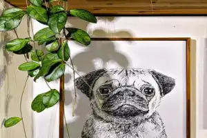 В гости к художнику: прогулка по личной галерее и закулисью музея теней - 10