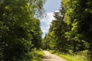 Велопрогулка в нацпарке «Виштынецкий» - 10