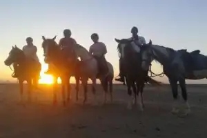 Конные прогулки по пустыне и к Красному морю - 13