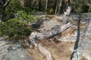 Скалистое ожерелье Приладожья: прогулка на катере из Сортавалы - 6