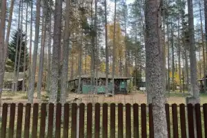 Комарово и дачный Петербург - 8