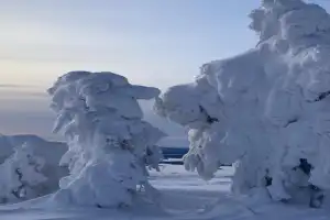 Арктическая экзотика: на снегоступах — по беломорской тундре - 10