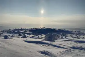 Арктическая экзотика: на снегоступах — по беломорской тундре - 6