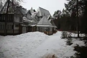 Комарово и дачный Петербург - 15