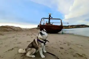 Фотопутешествие в Териберку — с юмором, легендами и хаски! - 3