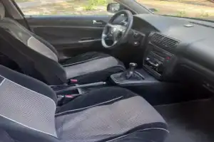 Беловежская пуща: по дороге к наследию предков — из Бреста - 9