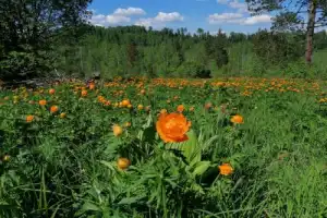 Каскад Шинокских водопадов - 3