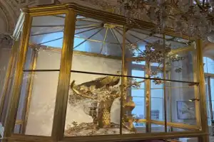 Детская экскурсия: Зимний дворец — сказочный ларец - 21