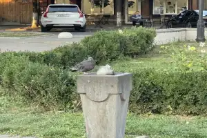 Почувствовать себя местным: новый взгляд на Владикавказ - 10