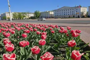 Знакомство с Брестом - 16