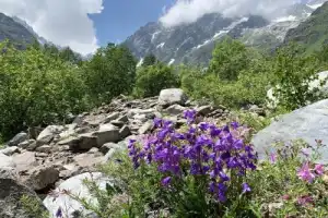 Цейская Сказка: легенды и волшебные панорамы - 5