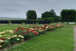Два знаменитых парка Петергофа за 1 день - 18