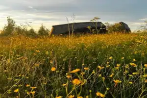 Из Сортавалы — по следам викингов и добытчиков мрамора - 6