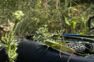 Велопрогулка по Самарскому Заволжью - 13