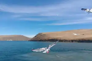 Славное море, священный Байкал - 12