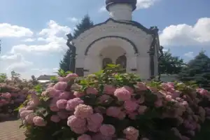 Воронеж и удивительный мир бобров - 6