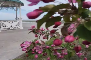 Первое знакомство с Барнаулом - 10