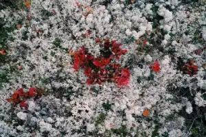 Треккинг по Ловозерью (из Мурманска) - 7