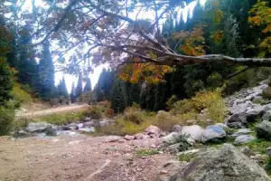 Все краски осени в горах Тянь-Шаня Все краски осени в горах Тянь-Шаня
