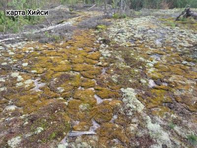 Лешего бояться — Карелию не видать - 12