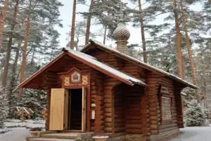Святые места Вырицы и Гатчины (из Петербурга) - 6