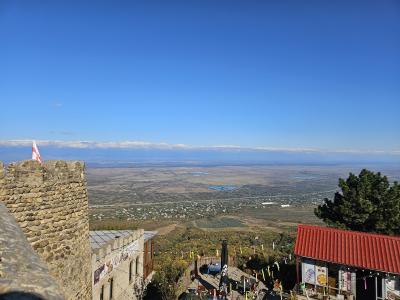 Две Кахетии за 1 день: пещерный монастырь Давид-Гареджи, пустыня и город Сигнаги - 13