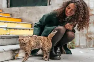 Нешаблонный Стамбул от изысканного Долмабахче до разноцветного Балата - 2