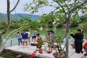 Рыбалка на озере во Вьетнаме (всё включено) - 2