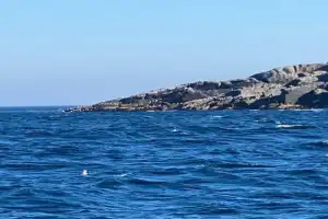 Из Мурманска в Териберку + выход в Баренцево море - 15