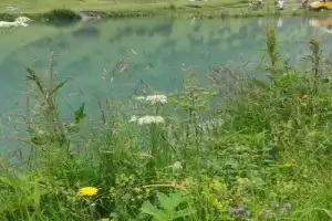 Путешествие по Восточной Осетии — древней Тагаурии - 22