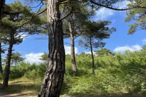 Джанхот — райский уголок (из Новороссийска) - 16
